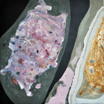 Ledges Series: Number 15